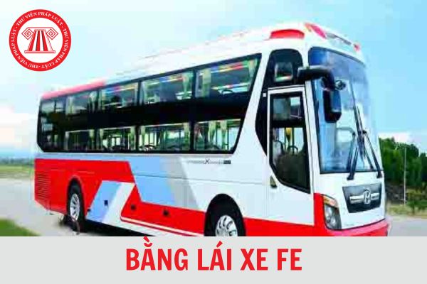 Bằng lái xe FE có thời hạn bao lâu? Tiêu chuẩn sức khỏe đối với người lái xe hạng FE mới nhất 2024?