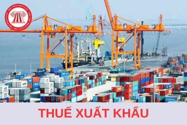 Mẫu 05/CVĐNKTT/TXNK công văn đề nghị không thu thuế xuất khẩu mới nhất 2024?