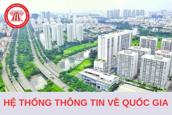 Theo quy định Luật Đất đai năm 2024, cơ quan nào có trách nhiệm quản lý phần mềm của Hệ thống thông tin quốc gia về đất đai?