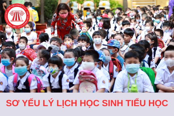 Tải Mẫu sơ yếu lý lịch học sinh Tiểu học năm học 2024 - 2025 file Word?