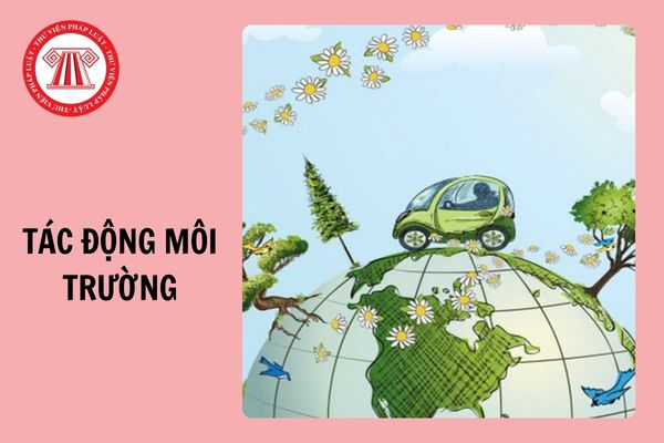 Tải Phiếu thẩm định báo cáo đánh giá tác động môi trường mới nhất 2024?