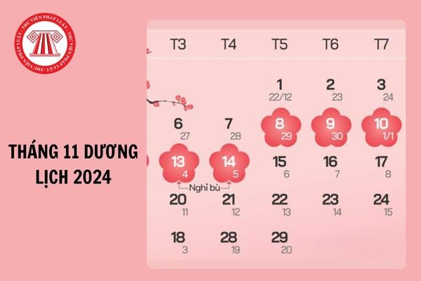 Tháng 11 dương lịch là tháng mấy âm lịch 2024? Tháng 11 Dương lịch 2024 có bao nhiêu ngày?