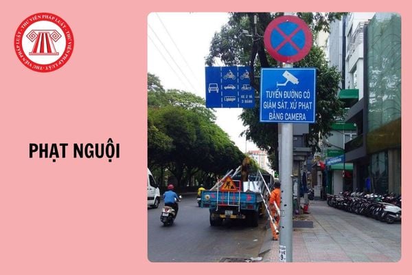 Năm 2025, đi ra ngoại tỉnh bị phạt nguội, người dân nộp phạt ở đâu?