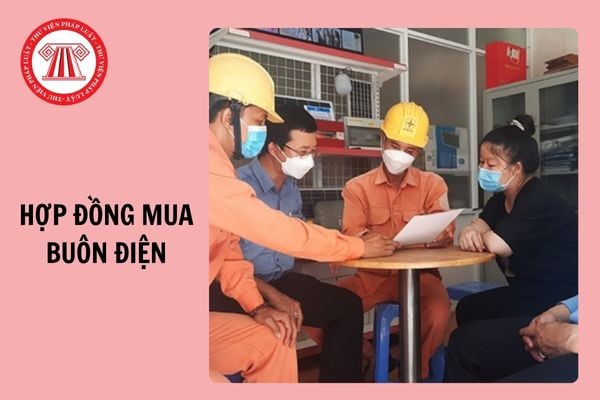 Hợp đồng mua buôn điện mẫu áp dụng từ ngày 30/12/2024?