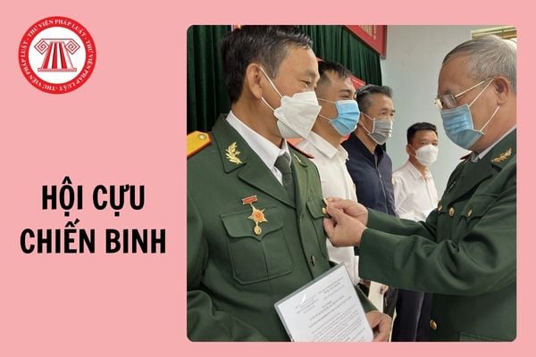 Tải Mẫu báo cáo tổng kết chi hội Cựu chiến binh 2024 được dùng phổ biến?