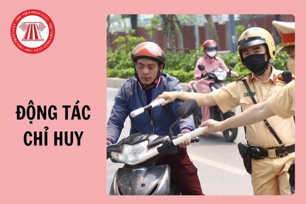 Nhận biết 09 động tác chỉ huy, điều khiển giao thông đường bộ của CSGT từ 1/1/2025?