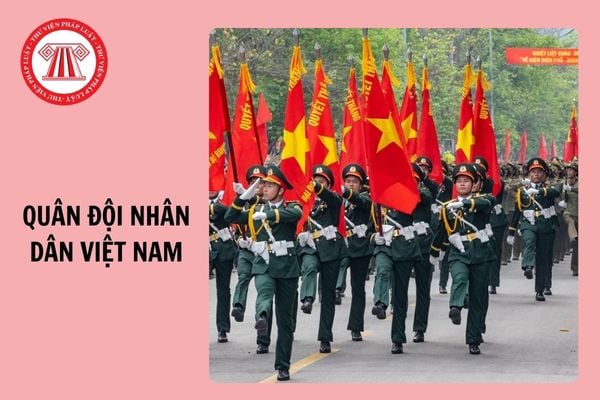 baocaovien.vn đăng nhập thi trắc nghiệm Quân đội nhân dân Việt Nam - 80 năm xây dựng, chiến đấu và trưởng thành 2024?