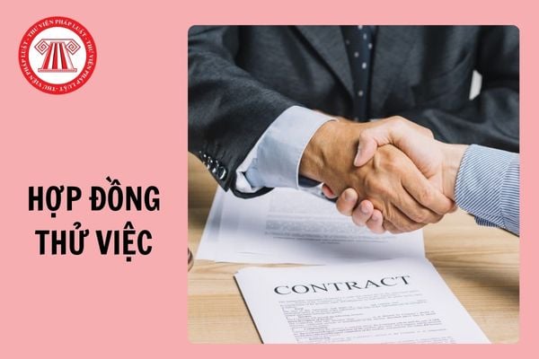 Công việc nào người lao động phải ký hợp đồng thử việc đến 06 tháng?