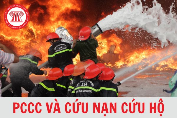 Đội phòng cháy chữa cháy và cứu nạn cứu hộ của Bộ Giáo dục và Đào tạo gồm những ai?