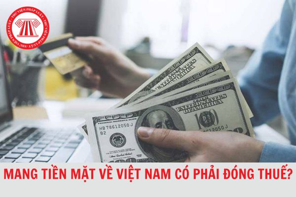 Mang tiền mặt về Việt Nam có phải đóng thuế?