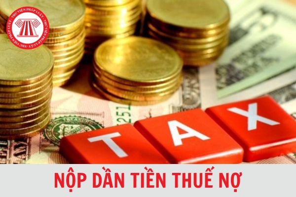 Người nộp thuế được nộp dần tiền thuế nợ trong thời gian tối đa bao nhiêu tháng?