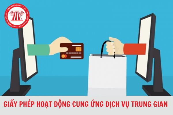 Mẫu đơn đề nghị thu hồi Giấy phép hoạt động cung ứng dịch vụ trung gian thanh toán 2024?