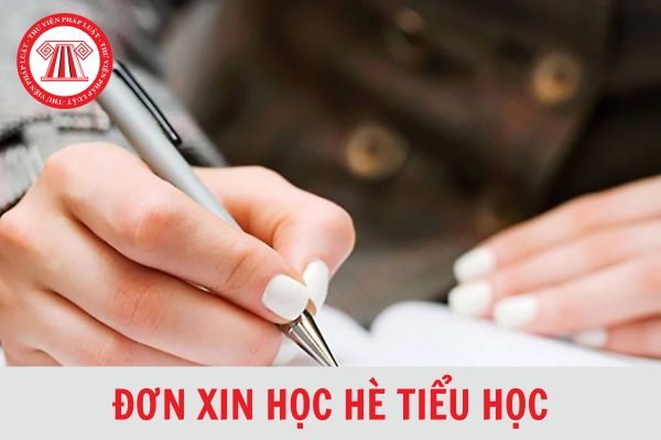 Mẫu đơn xin học hè cho học sinh tiểu học mới nhất năm 2024?