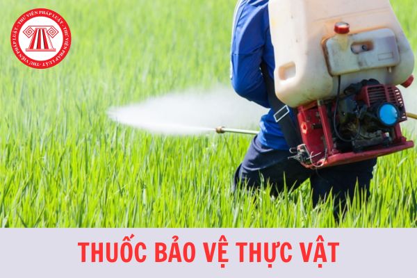 Yêu cầu chung về khảo nghiệm hiệu lực sinh học thuốc bảo vệ thực vật theo TCVN 12561:2022?