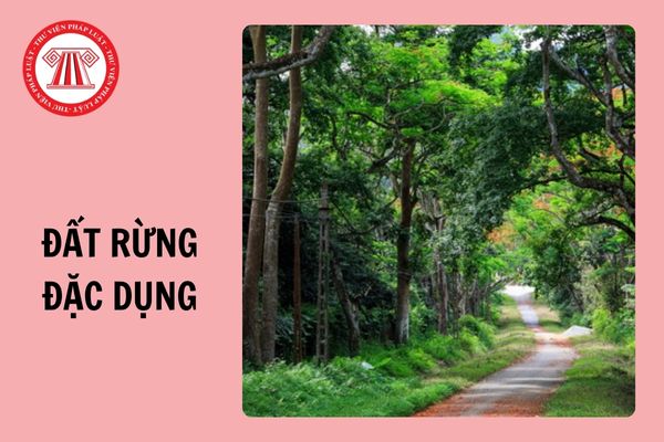 Chuyển đất rừng đặc dụng sang loại đất khác trong nhóm đất nông nghiệp bị phạt bao nhiêu tiền?