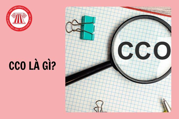 CCO là gì? CCO là viết tắt của từ gì? CCO là người điều hành hoạt động kinh doanh có quyền và nghĩa vụ gì?