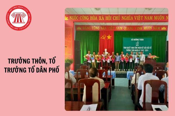 Hỏi đáp Pháp luật