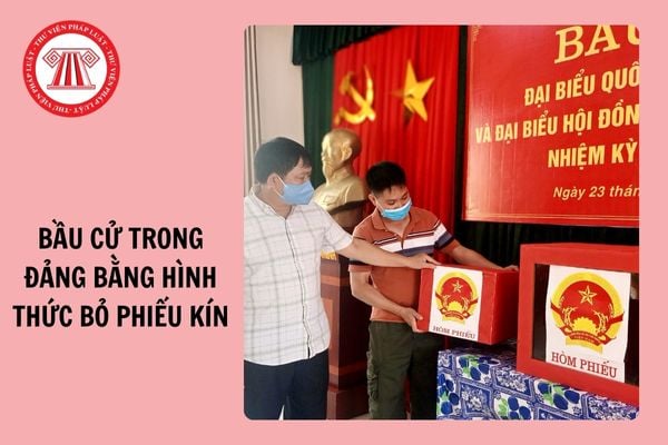 07 trường hợp bầu cử trong Đảng bằng hình thức bỏ phiếu kín từ 10/10/2024?