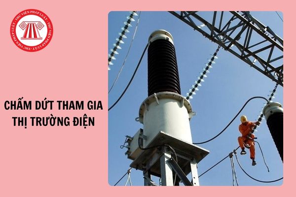 02 trường hợp chấm dứt tham gia thị trường điện từ 25/11/2024?