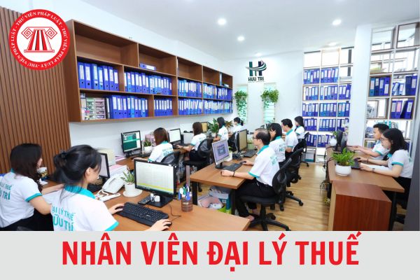 Nhân viên đại lý thuế không cập nhật kiến thức có sao không? Cập nhật kiến thức đại lý thuế ở đâu?