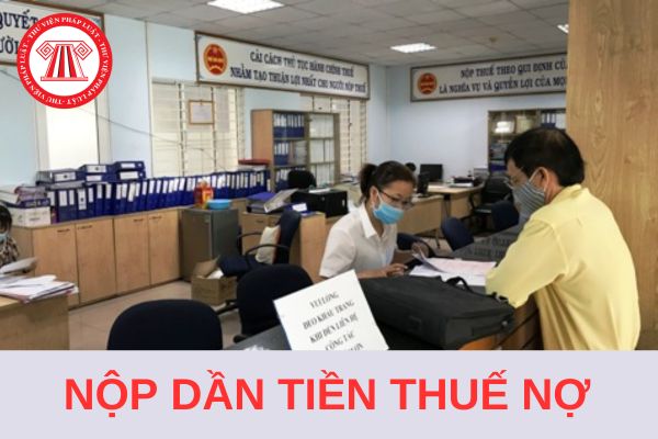 Tải mẫu 03/NDAN thông báo về việc không chấp thuận nộp dần tiền thuế nợ 2024?