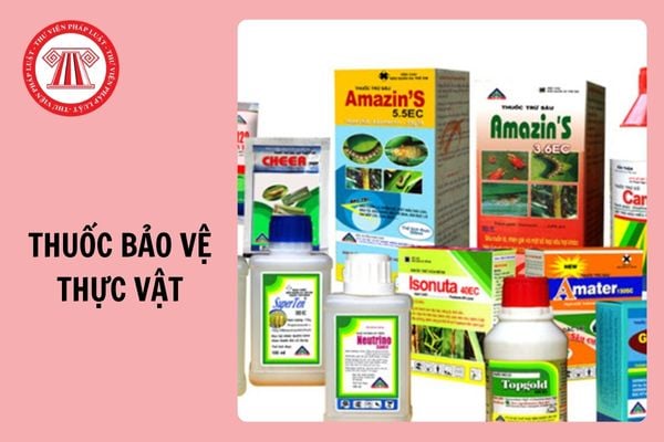 Danh mục thuốc bảo vệ thực vật được phép và bị cấm sử dụng tại Việt Nam từ 30/1/2025?