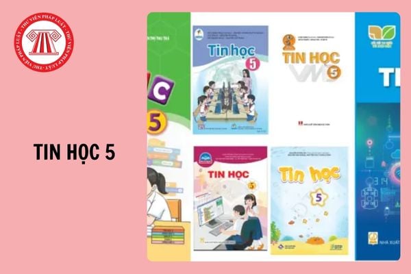 Tổng hợp đề thi học kì 1 Tin học 5 Kết nối tri thức năm 2024 - 2025?