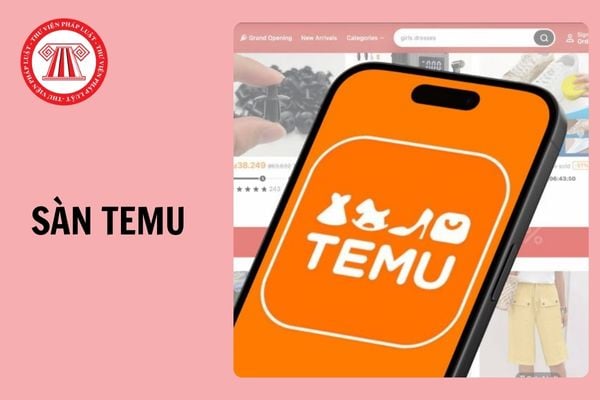 Temu là gì? Sàn Temu của nước nào? Thông tin trên Sàn Temu phải đảm bảo yêu cầu gì khi hoạt động tại VN?