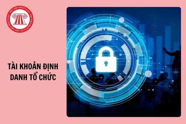 05 bước làm sạch dữ liệu để cấp định danh tổ chức cho doanh nghiệp, hợp tác xã, liên hiệp HTX 2024?