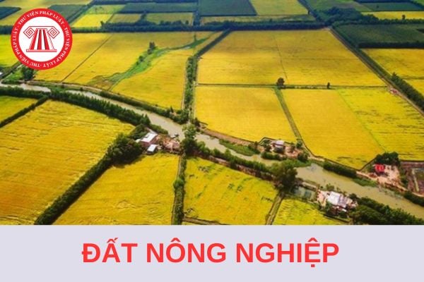 Cá nhân sử dụng đất nông nghiệp do được Nhà nước giao đất, do chuyển đổi, nhận chuyển nhượng, nhận thừa kế, nhận tặng cho quyền sử dụng đất hợp pháp từ người khác thì chỉ được chuyển đổi quyền sử dụng đất nông nghiệp trong cùng đơn vị hành chính cấp nào cho cá nhân khác?