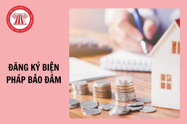 Đã có Thông tư 10/2024/TT-BTP quy định mã số, tiêu chuẩn chức danh nghề nghiệp Đăng ký biện pháp bảo đảm?