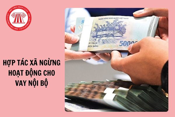 03 trường hợp hợp tác xã ngừng hoạt động cho vay nội bộ từ 01/11/2024?