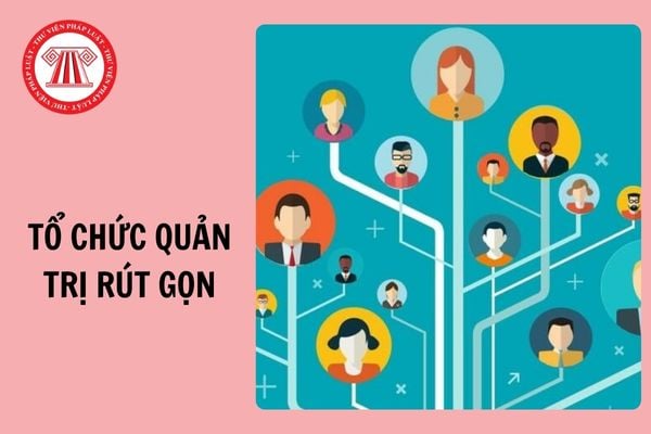 Tổ chức quản trị rút gọn của hợp tác xã, liên hiệp hợp tác xã gồm những ai?