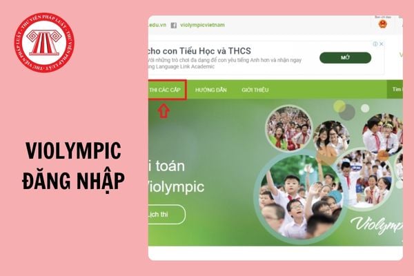 violympic.vn đăng nhập vào thi trên hệ thống Violympic năm học 2024 - 2025?