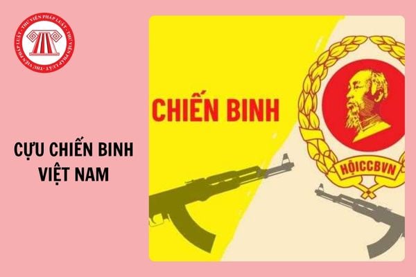 Kịch bản Lễ kết nạp hội viên Cựu chiến binh Việt Nam ngắn gọn 2024?