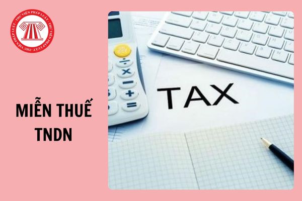 Miễn thuế TNDN 4 năm, giảm 50% số thuế phải nộp trong 5 năm đối với thu nhập nào?