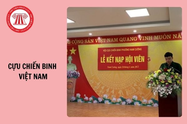 Bài phát biểu cảm tưởng kết nạp hội Cựu chiến binh ngắn gọn, ấn tượng 2024?