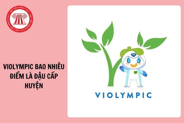 Violympic bao nhiêu điểm là đậu cấp huyện năm 2024 - 2025? 