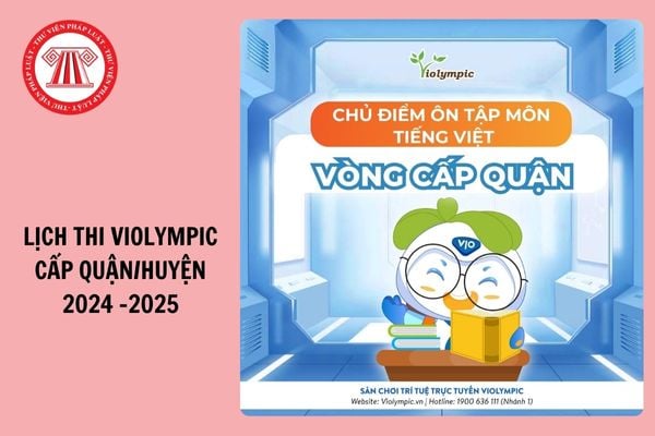 Lịch thi Violympic cấp huyện 2024 - 2025 chi tiết nhất? Còn mấy ngày nữa thi?