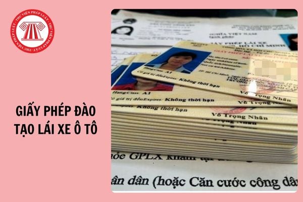 07 trường hợp vi phạm bị thu hồi giấy phép đào tạo lái xe ô tô từ 1/1/2025?