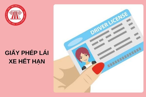 Hướng dẫn thủ tục cấp lại Giấy phép lái xe hết hạn từ 01/01/2025?