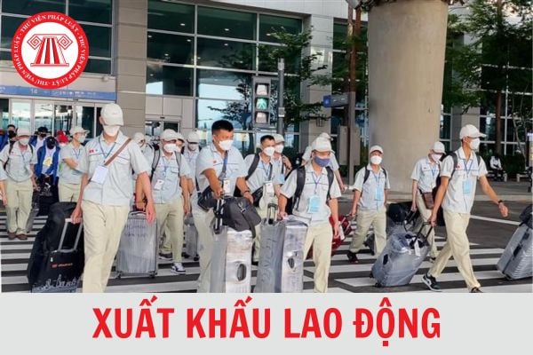 Tải Mẫu hợp đồng xuất khẩu lao động áp dụng trước và sau ngày 15/5/2024?