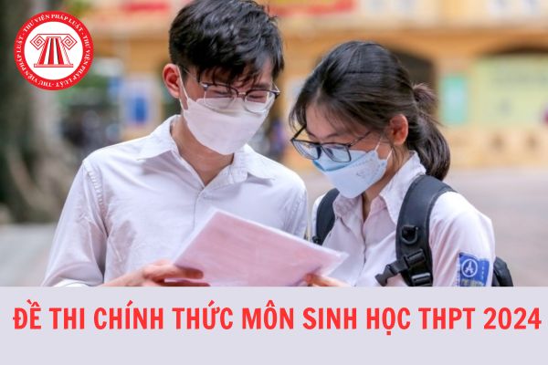 Đề thi chính thức môn Sinh học tốt nghiệp THPT năm 2024 mới nhất?