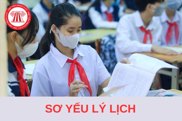 Tải Mẫu sơ yếu lý lịch học sinh THCS mới nhất 2024 file Word?