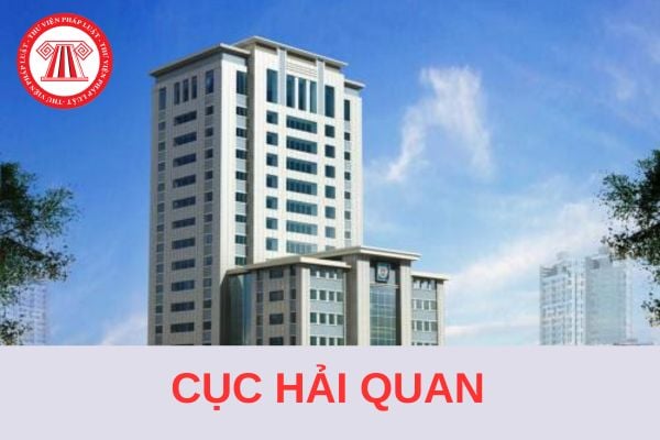 Tiêu chí thành lập Cục Hải quan tỉnh, liên tỉnh, thành phố trực thuộc trung ương 2024? 