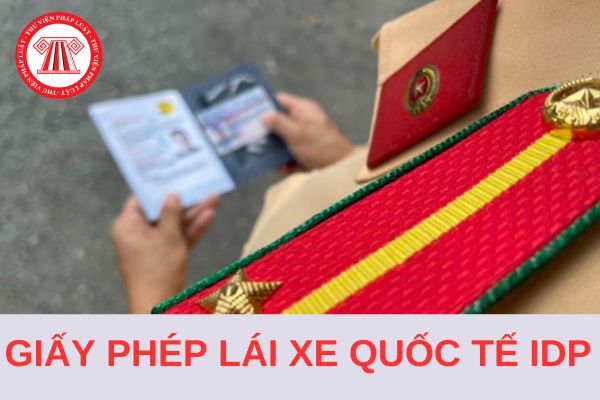 Giấy phép lái xe quốc tế IDP do Việt Nam cấp có giá trị sử dụng trong nước không?