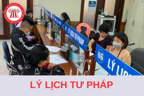 Mẫu Tờ khai yêu cầu cấp Phiếu lý lịch tư pháp điện tử tương tác mới nhất 2024?