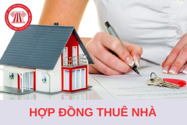 Tải Mẫu Hợp đồng thuê nhà là tải sản công không dùng để ở áp dụng từ 15/10/2024?