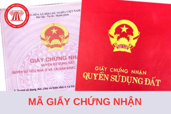 Mã Giấy chứng nhận quyền sử dụng đất là gì? Được thể hiện ở vị trí nào trên Sổ đỏ?