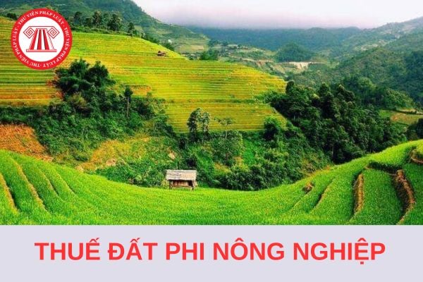 Con của thương binh có được miễn tiền thuế đất phi nông nghiệp không?